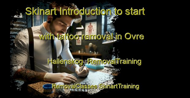 Skinart Introduction to start with tattoo removal in Ovre Hallenskog | #RemovalTraining #RemovalClasses #SkinartTraining-Norway