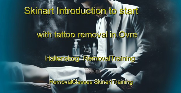 Skinart Introduction to start with tattoo removal in Ovre Hallenskog | #RemovalTraining #RemovalClasses #SkinartTraining-Norway