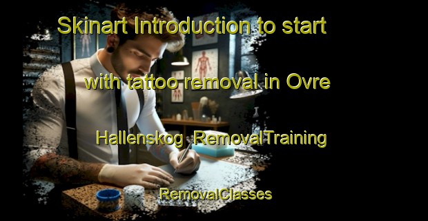 Skinart Introduction to start with tattoo removal in Ovre Hallenskog | RemovalTraining | RemovalClasses | SkinartTraining-Norway