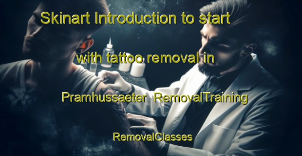 Skinart Introduction to start with tattoo removal in Pramhussaeter | RemovalTraining | RemovalClasses | SkinartTraining-Norway