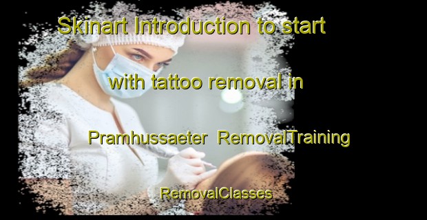 Skinart Introduction to start with tattoo removal in Pramhussaeter | RemovalTraining | RemovalClasses | SkinartTraining-Norway