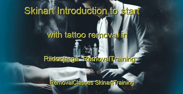 Skinart Introduction to start with tattoo removal in Riidonjarga | #RemovalTraining #RemovalClasses #SkinartTraining-Norway