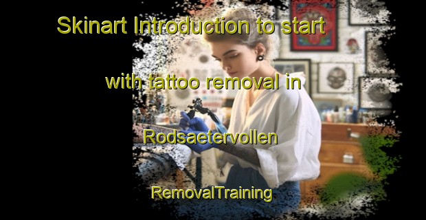 Skinart Introduction to start with tattoo removal in Rodsaetervollen | RemovalTraining | RemovalClasses | SkinartTraining-Norway