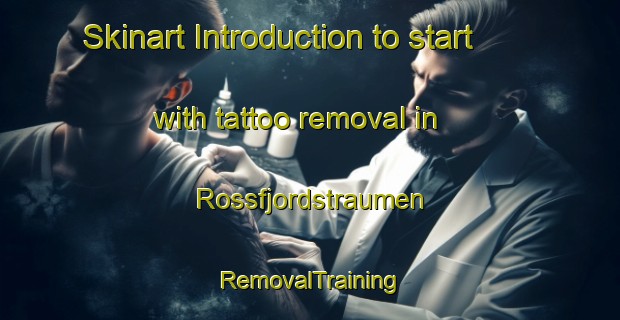 Skinart Introduction to start with tattoo removal in Rossfjordstraumen | RemovalTraining | RemovalClasses | SkinartTraining-Norway