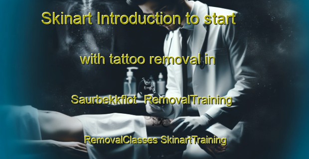 Skinart Introduction to start with tattoo removal in Saurbekkflot | #RemovalTraining #RemovalClasses #SkinartTraining-Norway