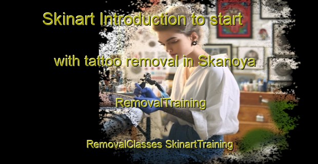 Skinart Introduction to start with tattoo removal in Skanoya | #RemovalTraining #RemovalClasses #SkinartTraining-Norway