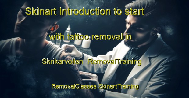 Skinart Introduction to start with tattoo removal in Skrikarvollen | #RemovalTraining #RemovalClasses #SkinartTraining-Norway