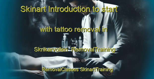 Skinart Introduction to start with tattoo removal in Skrikarvollen | #RemovalTraining #RemovalClasses #SkinartTraining-Norway