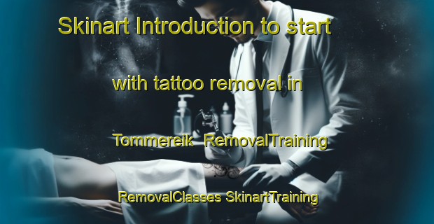 Skinart Introduction to start with tattoo removal in Tommereik | #RemovalTraining #RemovalClasses #SkinartTraining-Norway