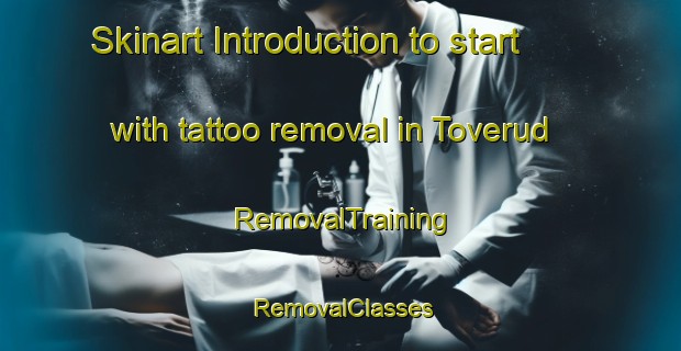 Skinart Introduction to start with tattoo removal in Toverud | RemovalTraining | RemovalClasses | SkinartTraining-Norway