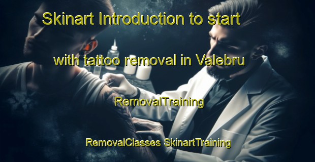 Skinart Introduction to start with tattoo removal in Valebru | #RemovalTraining #RemovalClasses #SkinartTraining-Norway