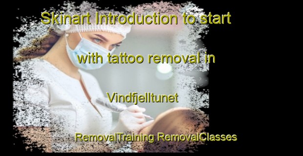 Skinart Introduction to start with tattoo removal in Vindfjelltunet | #RemovalTraining #RemovalClasses #SkinartTraining-Norway