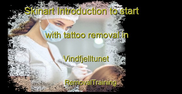 Skinart Introduction to start with tattoo removal in Vindfjelltunet | RemovalTraining | RemovalClasses | SkinartTraining-Norway