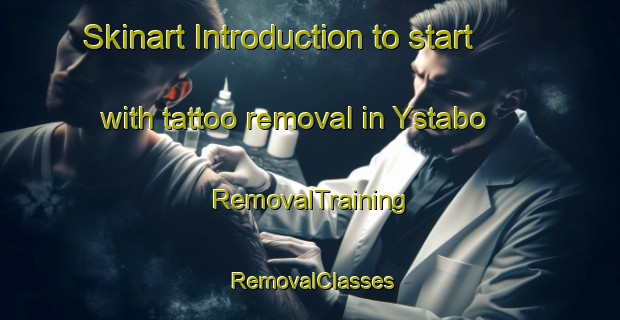 Skinart Introduction to start with tattoo removal in Ystabo | RemovalTraining | RemovalClasses | SkinartTraining-Norway
