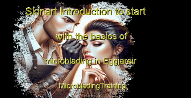 Skinart Introduction to start with the basics of microblading in Eggjareir | MicrobladingTraining | MicrobladingClasses | SkinartTraining-Norway