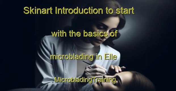 Skinart Introduction to start with the basics of microblading in Elle | MicrobladingTraining | MicrobladingClasses | SkinartTraining-Norway