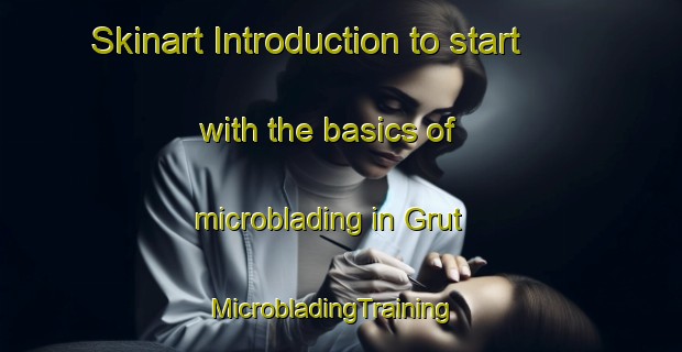 Skinart Introduction to start with the basics of microblading in Grut | MicrobladingTraining | MicrobladingClasses | SkinartTraining-Norway