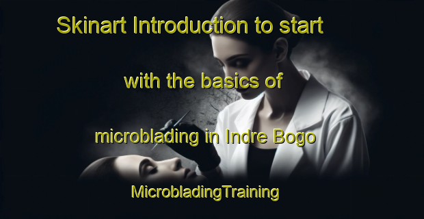Skinart Introduction to start with the basics of microblading in Indre Bogo | MicrobladingTraining | MicrobladingClasses | SkinartTraining-Norway