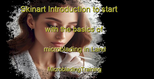 Skinart Introduction to start with the basics of microblading in Land | MicrobladingTraining | MicrobladingClasses | SkinartTraining-Norway