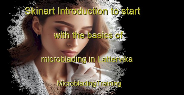 Skinart Introduction to start with the basics of microblading in Lattervika | MicrobladingTraining | MicrobladingClasses | SkinartTraining-Norway