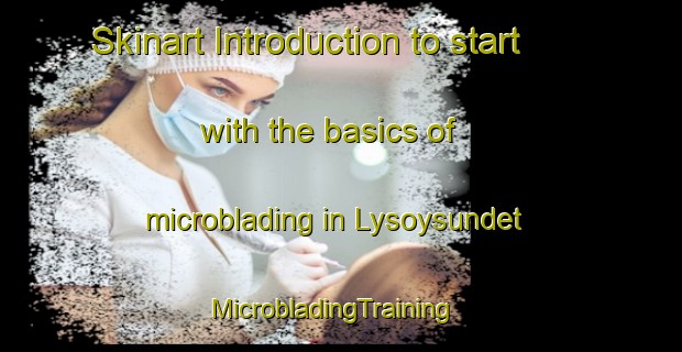 Skinart Introduction to start with the basics of microblading in Lysoysundet | MicrobladingTraining | MicrobladingClasses | SkinartTraining-Norway