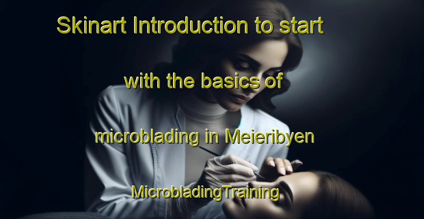 Skinart Introduction to start with the basics of microblading in Meieribyen | MicrobladingTraining | MicrobladingClasses | SkinartTraining-Norway