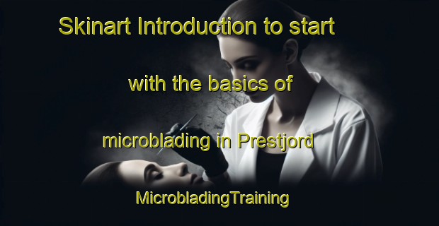 Skinart Introduction to start with the basics of microblading in Prestjord | MicrobladingTraining | MicrobladingClasses | SkinartTraining-Norway