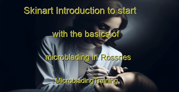 Skinart Introduction to start with the basics of microblading in Rossnes | MicrobladingTraining | MicrobladingClasses | SkinartTraining-Norway