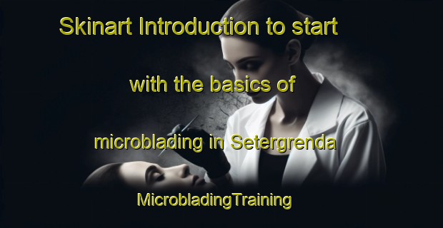 Skinart Introduction to start with the basics of microblading in Setergrenda | MicrobladingTraining | MicrobladingClasses | SkinartTraining-Norway