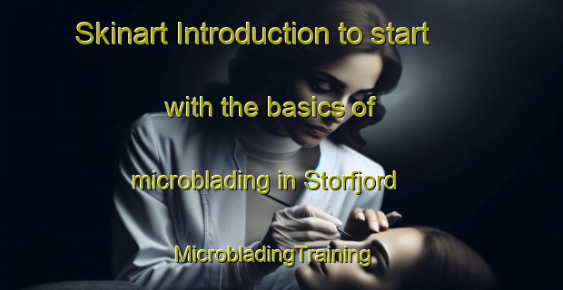 Skinart Introduction to start with the basics of microblading in Storfjord | MicrobladingTraining | MicrobladingClasses | SkinartTraining-Norway
