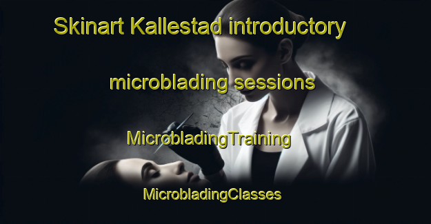 Skinart Kallestad introductory microblading sessions | MicrobladingTraining | MicrobladingClasses | SkinartTraining-Norway