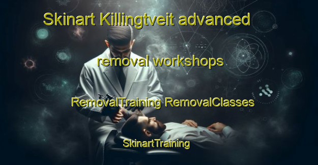 Skinart Killingtveit advanced removal workshops | #RemovalTraining #RemovalClasses #SkinartTraining-Norway