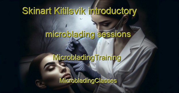 Skinart Kitilsvik introductory microblading sessions | MicrobladingTraining | MicrobladingClasses | SkinartTraining-Norway