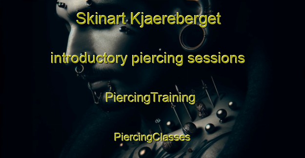 Skinart Kjaereberget introductory piercing sessions | #PiercingTraining #PiercingClasses #SkinartTraining-Norway