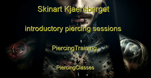 Skinart Kjaereberget introductory piercing sessions | #PiercingTraining #PiercingClasses #SkinartTraining-Norway