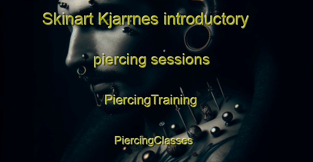 Skinart Kjarrnes introductory piercing sessions | PiercingTraining | PiercingClasses | SkinartTraining-Norway