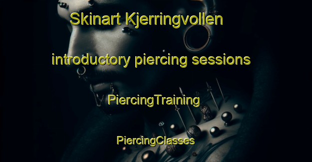 Skinart Kjerringvollen introductory piercing sessions | #PiercingTraining #PiercingClasses #SkinartTraining-Norway