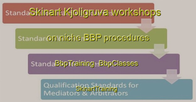 Skinart Kjoligruva workshops on niche BBP procedures | BbpTraining | BbpClasses | SkinartTraining-Norway