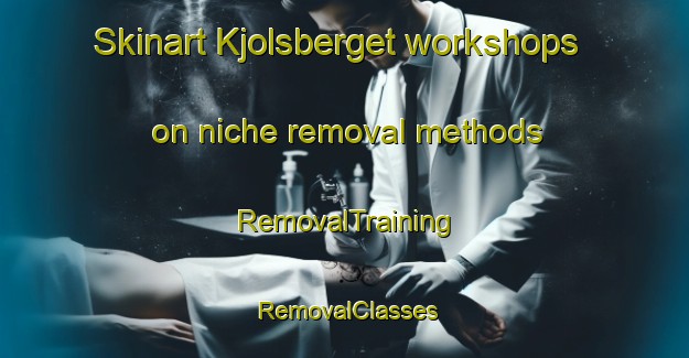 Skinart Kjolsberget workshops on niche removal methods | RemovalTraining | RemovalClasses | SkinartTraining-Norway