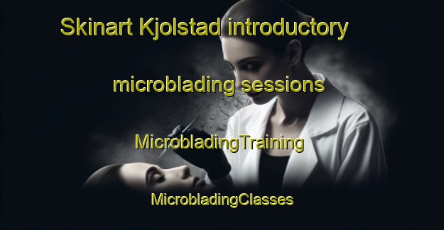 Skinart Kjolstad introductory microblading sessions | #MicrobladingTraining #MicrobladingClasses #SkinartTraining-Norway