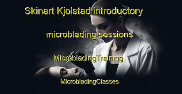 Skinart Kjolstad introductory microblading sessions | MicrobladingTraining | MicrobladingClasses | SkinartTraining-Norway
