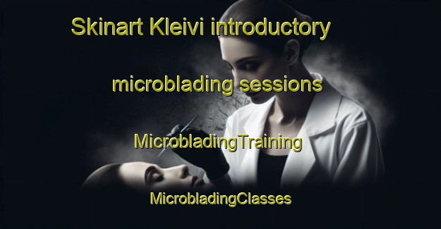 Skinart Kleivi introductory microblading sessions | #MicrobladingTraining #MicrobladingClasses #SkinartTraining-Norway