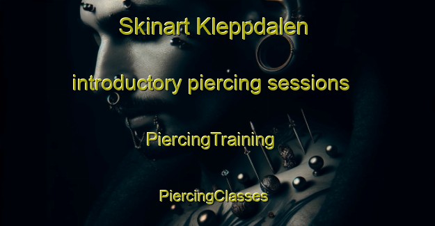 Skinart Kleppdalen introductory piercing sessions | PiercingTraining | PiercingClasses | SkinartTraining-Norway