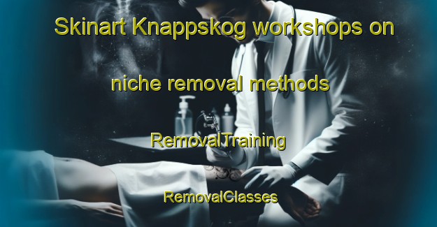Skinart Knappskog workshops on niche removal methods | RemovalTraining | RemovalClasses | SkinartTraining-Norway