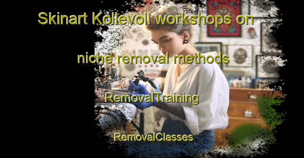 Skinart Kollevoll workshops on niche removal methods | RemovalTraining | RemovalClasses | SkinartTraining-Norway