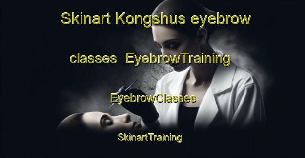 Skinart Kongshus eyebrow classes | EyebrowTraining | EyebrowClasses | SkinartTraining-Norway