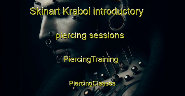 Skinart Krabol introductory piercing sessions | #PiercingTraining #PiercingClasses #SkinartTraining-Norway