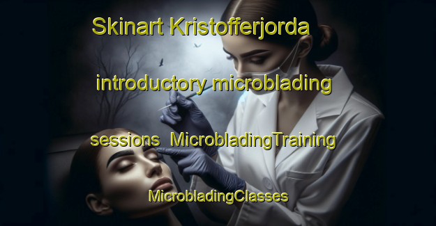 Skinart Kristofferjorda introductory microblading sessions | #MicrobladingTraining #MicrobladingClasses #SkinartTraining-Norway