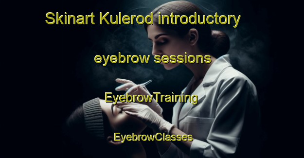 Skinart Kulerod introductory eyebrow sessions | EyebrowTraining | EyebrowClasses | SkinartTraining-Norway