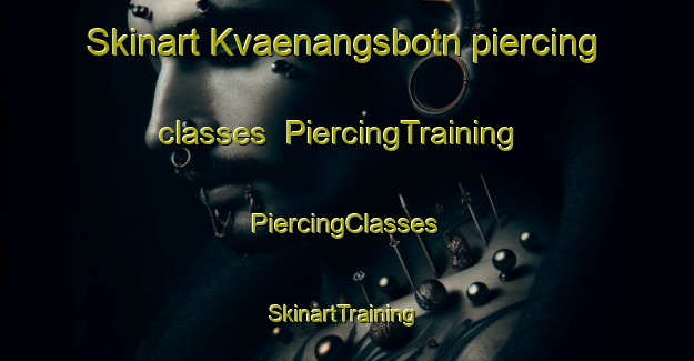 Skinart Kvaenangsbotn piercing classes | #PiercingTraining #PiercingClasses #SkinartTraining-Norway